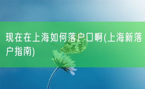 现在在上海如何落户口啊(上海新落户指南)