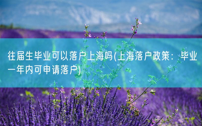 往届生毕业可以落户上海吗(上海落户政策：毕业一年内可申请落户)