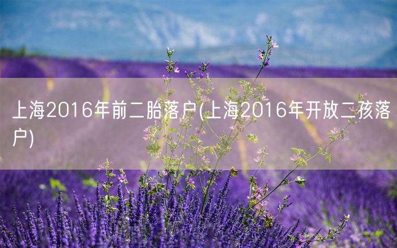 上海2016年前二胎落户(上海2016年开放二孩落户)