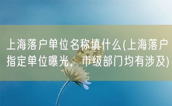 上海落户单位名称填什么(上海落户指定单位曝光，市级部门均有涉及)