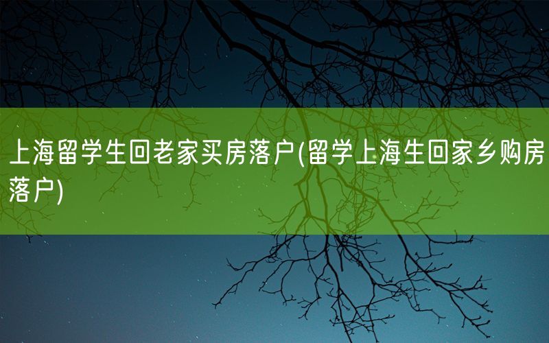 上海留学生回老家买房落户(留学上海生回家乡购房落户)