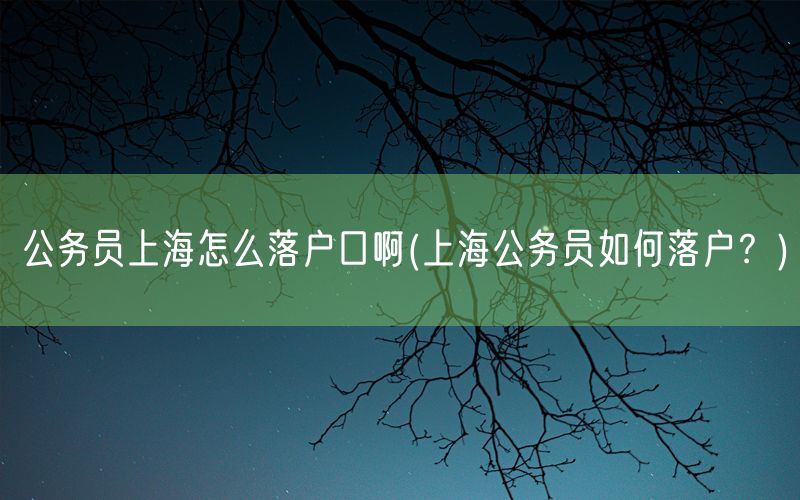 公务员上海怎么落户口啊(上海公务员如何落户？)