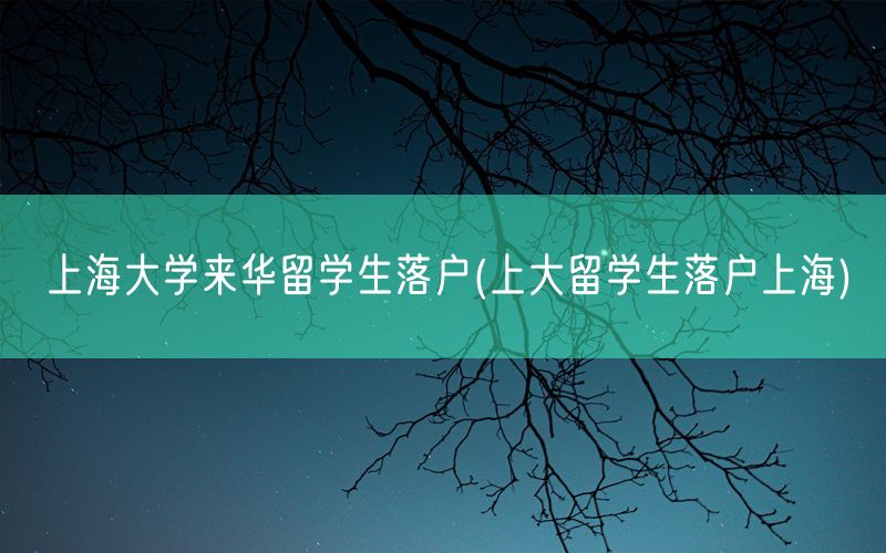 上海大学来华留学生落户(上大留学生落户上海)