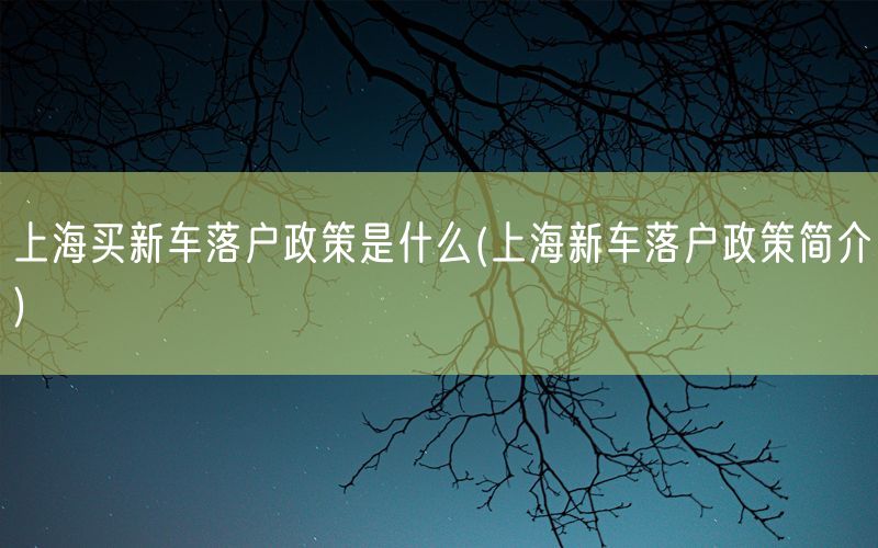 上海买新车落户政策是什么(上海新车落户政策简介)