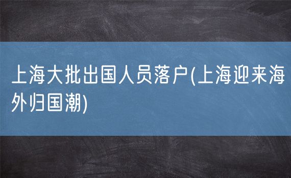 上海大批出国人员落户(上海迎来海外归国潮)