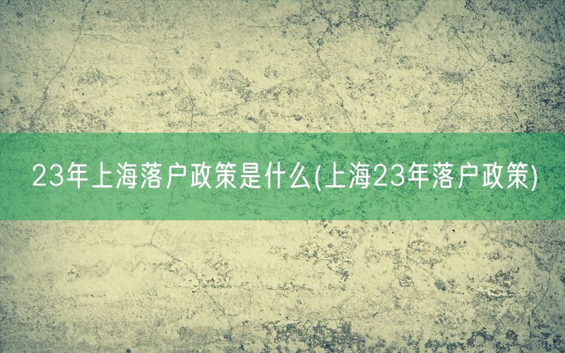 23年上海落户政策是什么(上海23年落户政策)