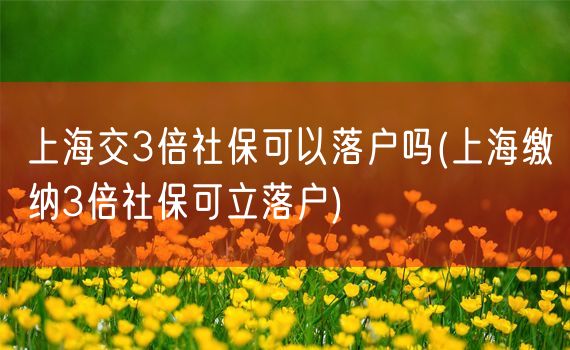 上海交3倍社保可以落户吗(上海缴纳3倍社保可立落户)