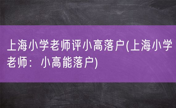 上海小学老师评小高落户(上海小学老师：小高能落户)