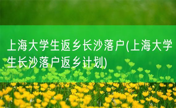 上海大学生返乡长沙落户(上海大学生长沙落户返乡计划)