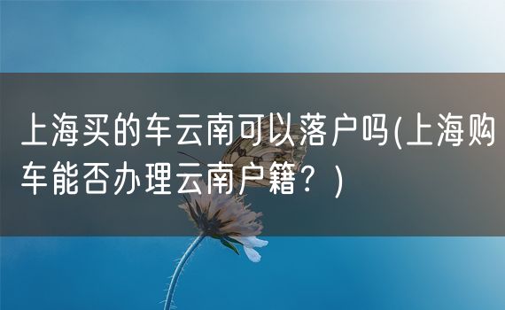 上海买的车云南可以落户吗(上海购车能否办理云南户籍？)