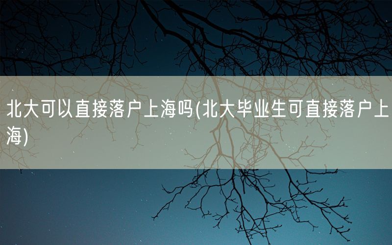 北大可以直接落户上海吗(北大毕业生可直接落户上海)