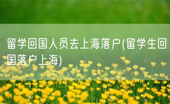 留学回国人员去上海落户(留学生回国落户上海)