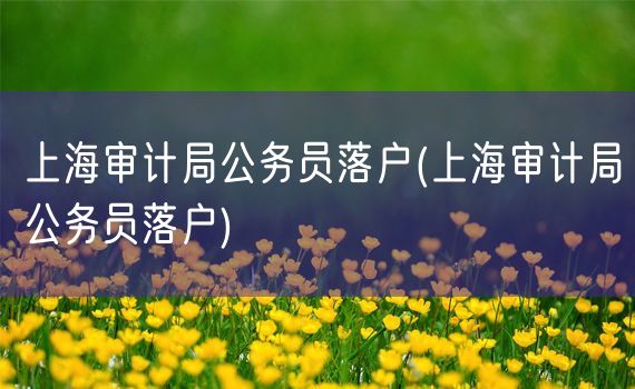 上海审计局公务员落户(上海审计局公务员落户)