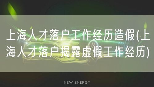 上海人才落户工作经历造假(上海人才落户揭露虚假工作经历)