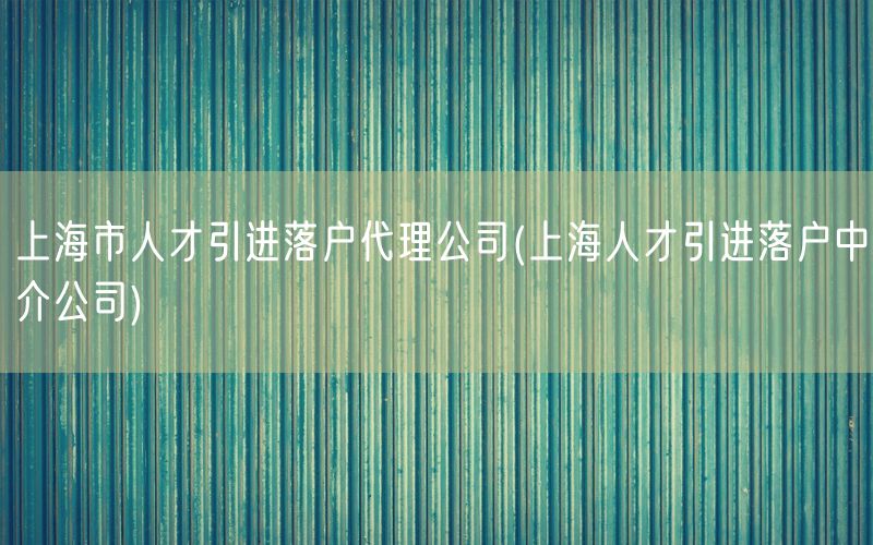 上海市人才引进落户代理公司(上海人才引进落户中介公司)