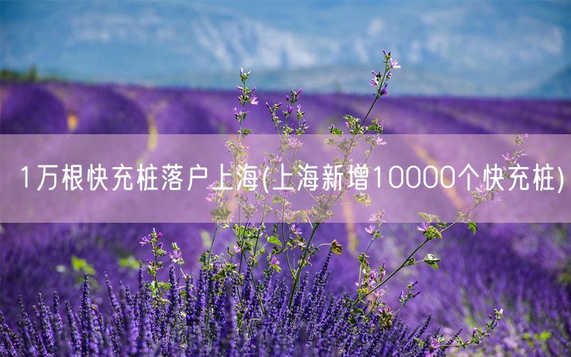 1万根快充桩落户上海(上海新增10000个快充桩)