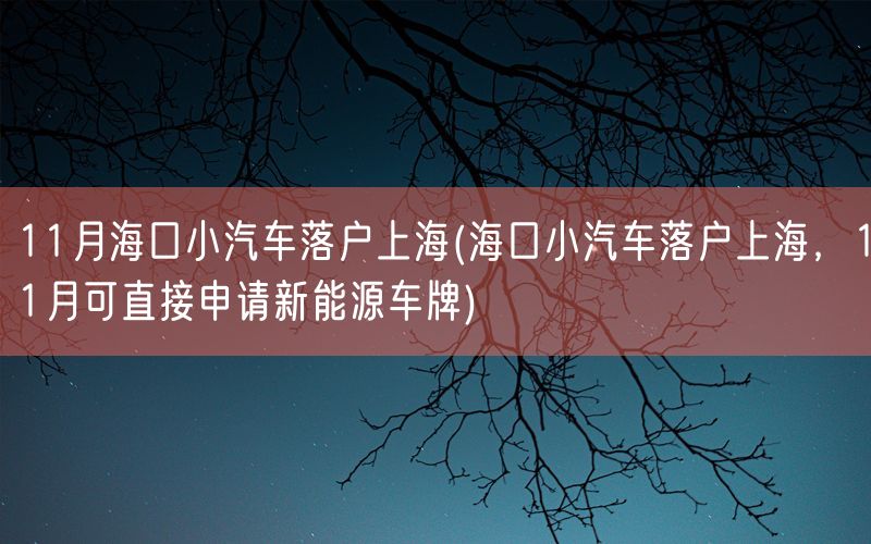 11月海口小汽车落户上海(海口小汽车落户上海，11月可直接申请新能源车牌)