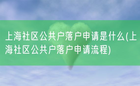 上海社区公共户落户申请是什么(上海社区公共户落户申请流程)