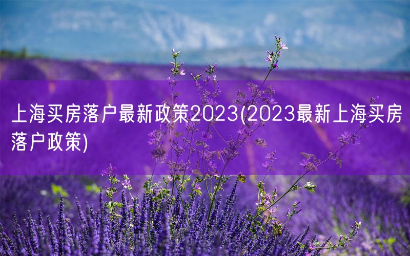 上海买房落户最新政策2023(2023最新上海买房落户政策)