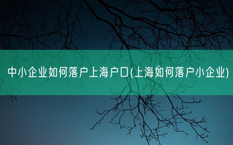 中小企业如何落户上海户口(上海如何落户小企业)