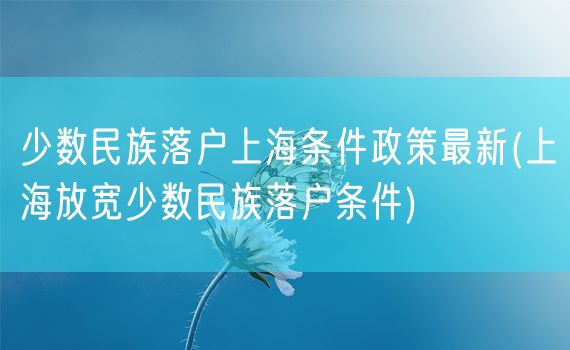 少数民族落户上海条件政策最新(上海放宽少数民族落户条件)