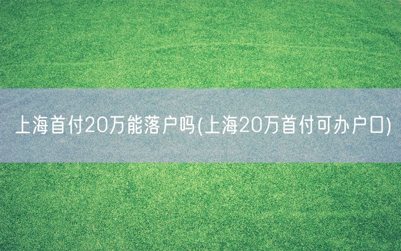 上海首付20万能落户吗(上海20万首付可办户口)