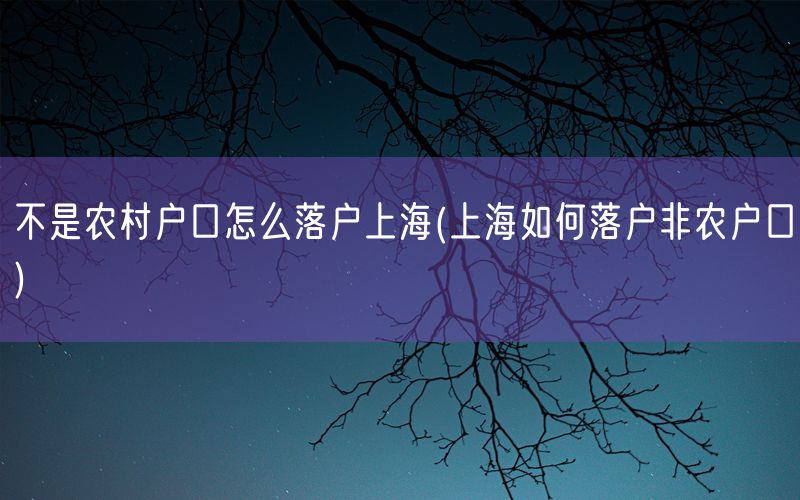 不是农村户口怎么落户上海(上海如何落户非农户口)