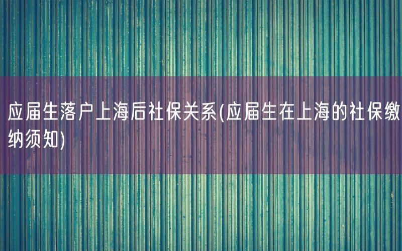 应届生落户上海后社保关系(应届生在上海的社保缴纳须知)