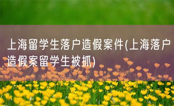 上海留学生落户造假案件(上海落户造假案留学生被抓)