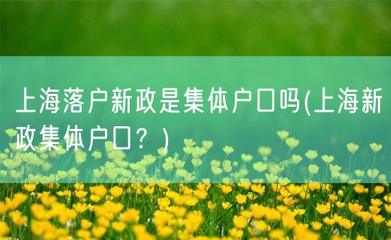 上海落户新政是集体户口吗(上海新政集体户口？)