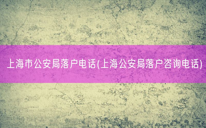 上海市公安局落户电话(上海公安局落户咨询电话)