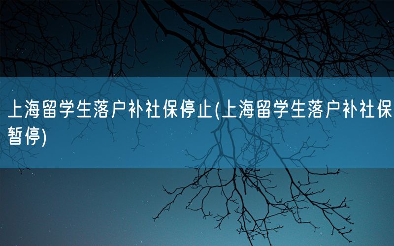 上海留学生落户补社保停止(上海留学生落户补社保暂停)