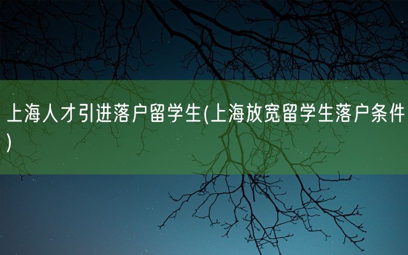 上海人才引进落户留学生(上海放宽留学生落户条件)