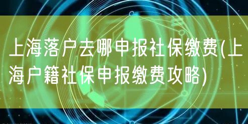 上海落户去哪申报社保缴费(上海户籍社保申报缴费攻略)