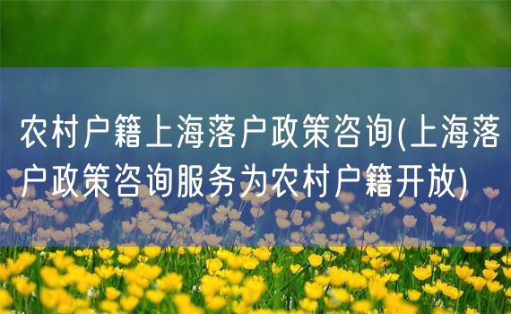 农村户籍上海落户政策咨询(上海落户政策咨询服务为农村户籍开放)