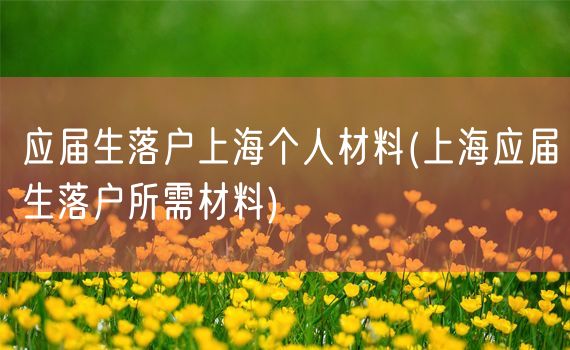 应届生落户上海个人材料(上海应届生落户所需材料)