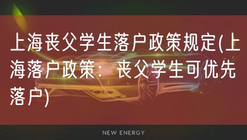 上海丧父学生落户政策规定(上海落户政策：丧父学生可优先落户)