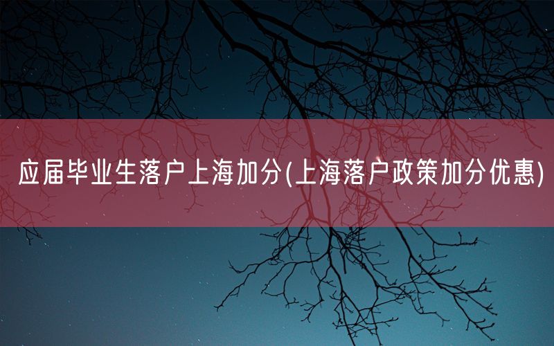 应届毕业生落户上海加分(上海落户政策加分优惠)