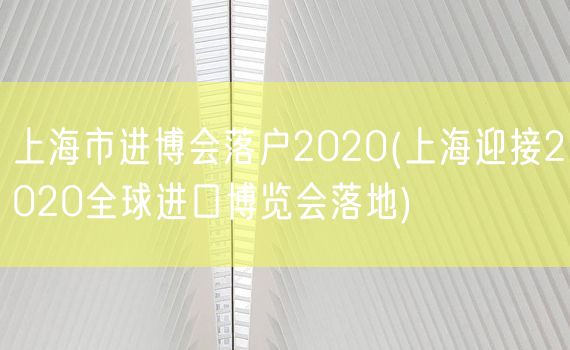 上海市进博会落户2020(上海迎接2020全球进口博览会落地)