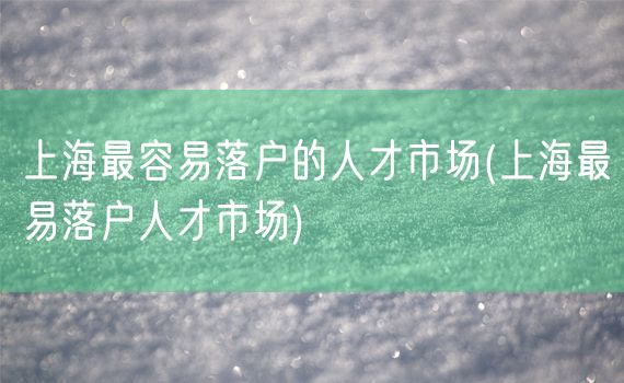 上海最容易落户的人才市场(上海最易落户人才市场)