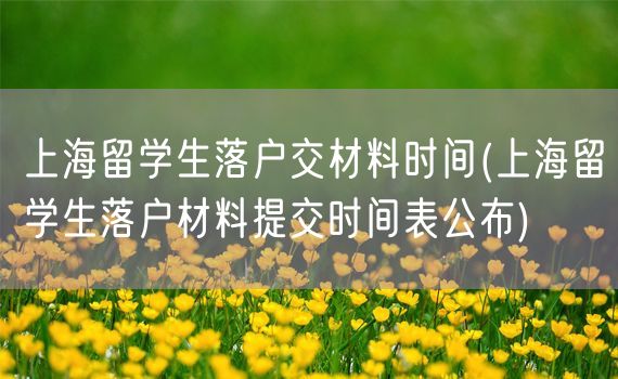 上海留学生落户交材料时间(上海留学生落户材料提交时间表公布)