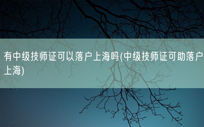 有中级技师证可以落户上海吗(中级技师证可助落户上海)