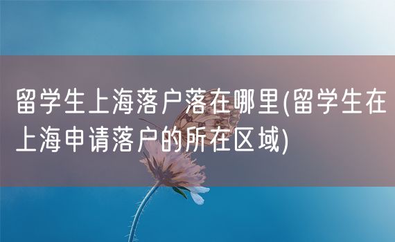 留学生上海落户落在哪里(留学生在上海申请落户的所在区域)