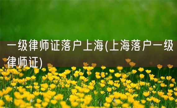 一级律师证落户上海(上海落户一级律师证)