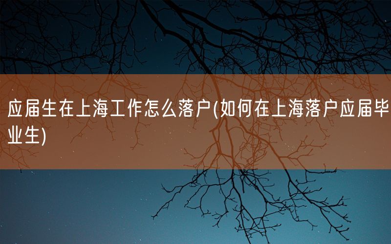 应届生在上海工作怎么落户(如何在上海落户应届毕业生)