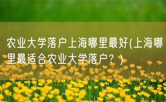 农业大学落户上海哪里最好(上海哪里最适合农业大学落户？)