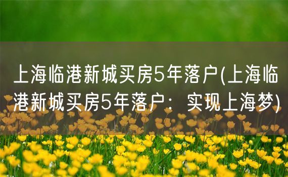 上海临港新城买房5年落户(上海临港新城买房5年落户：实现上海梦)