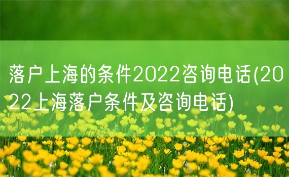 落户上海的条件2022咨询电话(2022上海落户条件及咨询电话)