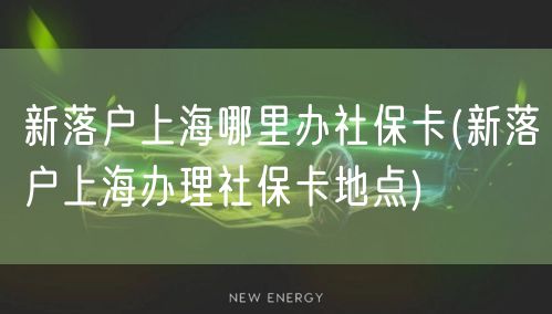 新落户上海哪里办社保卡(新落户上海办理社保卡地点)