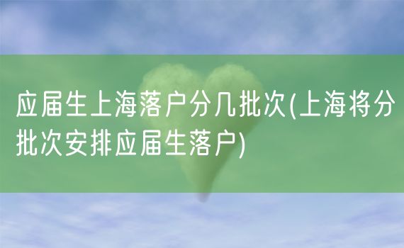 应届生上海落户分几批次(上海将分批次安排应届生落户)